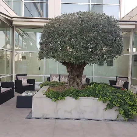 Szálloda Hotel Carpi Carpi