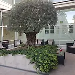 מלון Hotel Carpi קארפי