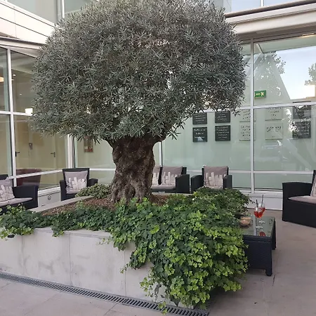 Отель Hotel Carpi Карпи