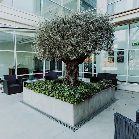 Hotel Carpi Carpi