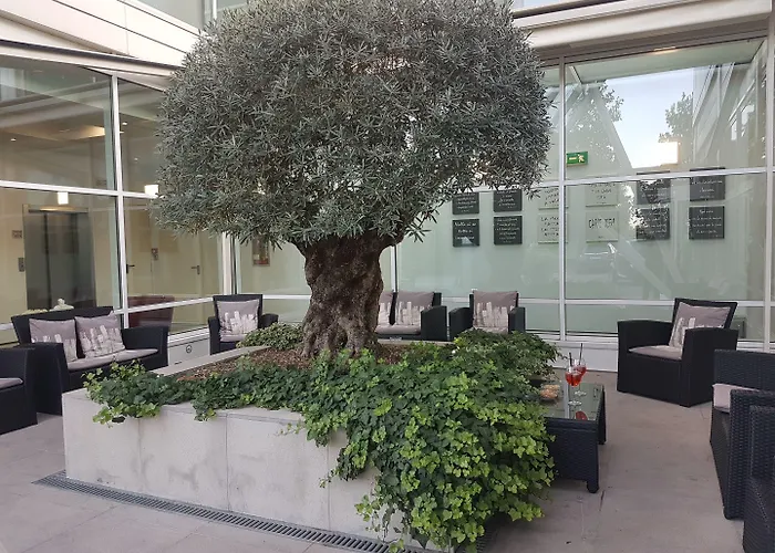 מלון Hotel Carpi קארפי