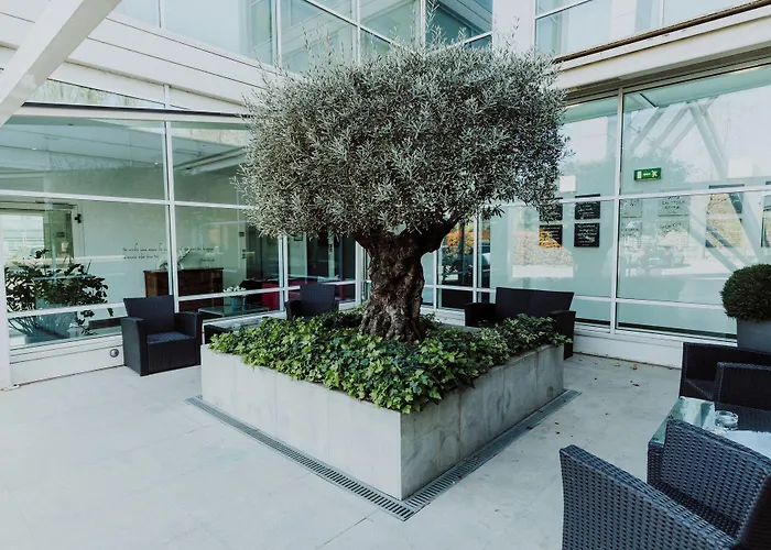 Hotel Carpi קארפי